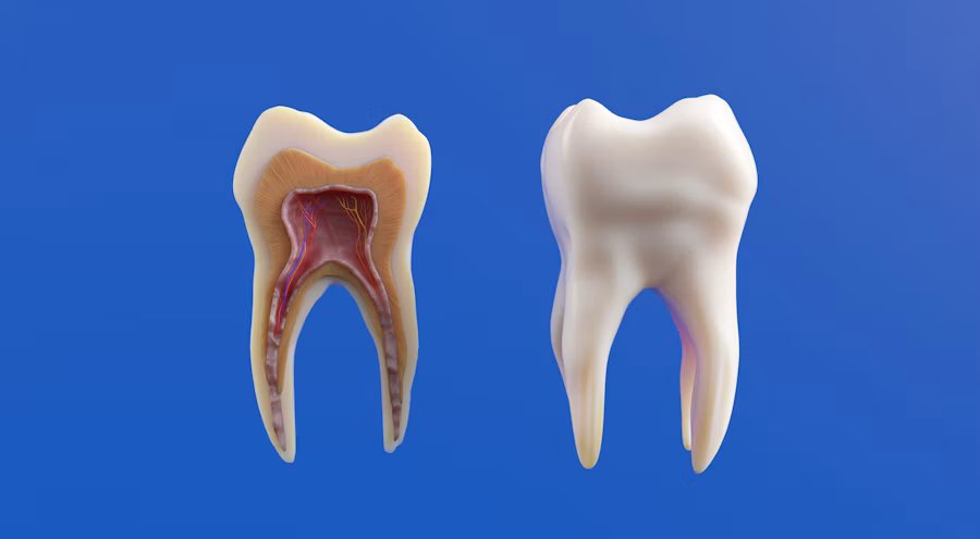 Periodontics and gum care